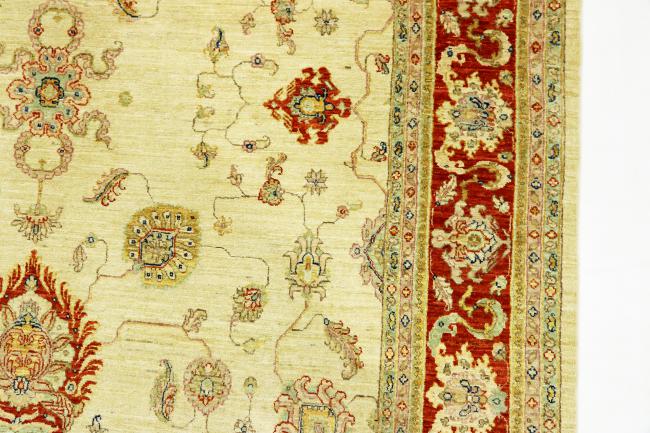 Arijana Ziegler Farahan - 6