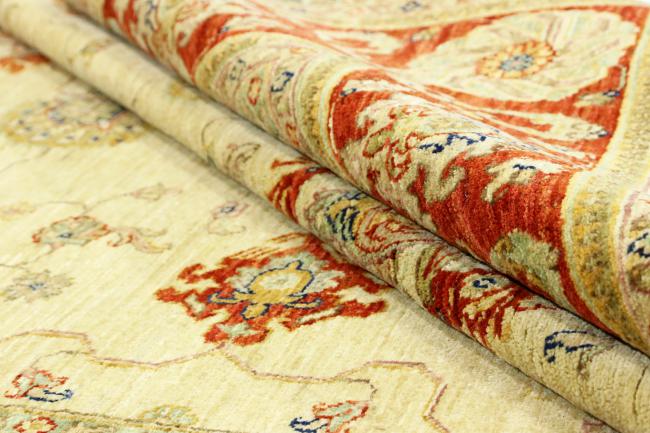 Arijana Ziegler Farahan - 7