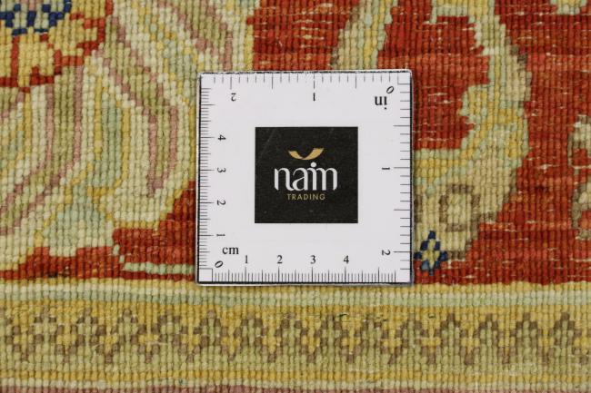 Arijana Ziegler Farahan - 8