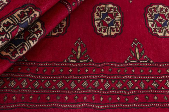 Pakistan Buchara 2ply - 2