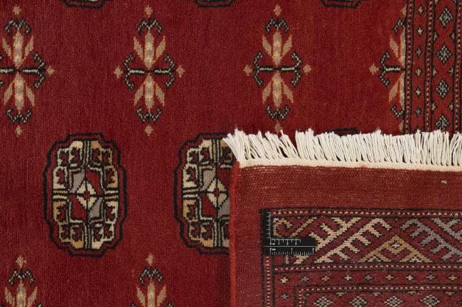 Pakistański Buchara 3ply - 1