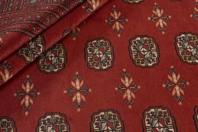 Pakistański Buchara 3ply - 2