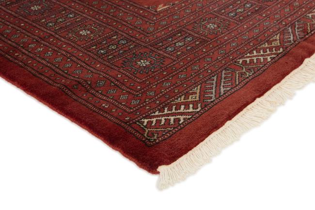 Pakistański Buchara 3ply - 3