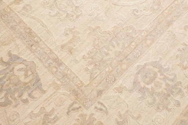 Ziegler Farahan - 5