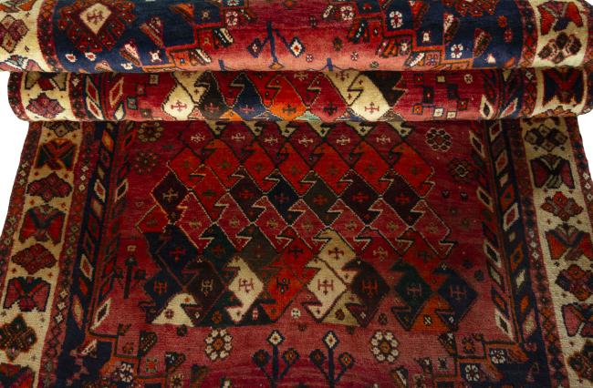 Shiraz - 7