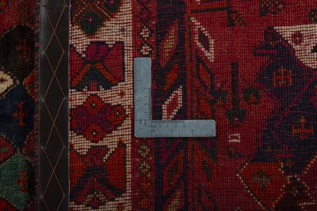 Shiraz - 9