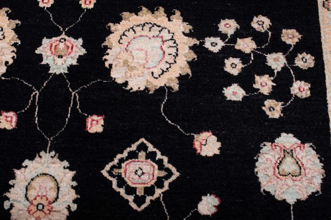 Ziegler Farahan - 5