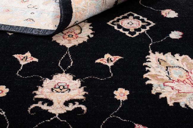 Ziegler Farahan - 6