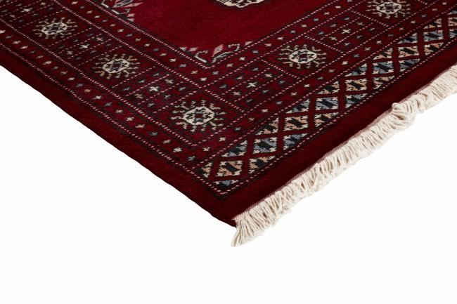 Pakistan Buchara 2ply - 3
