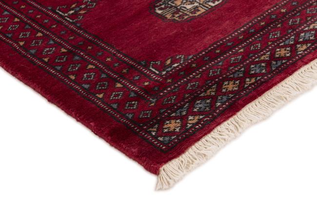 Pakistan Buchara 2ply - 3