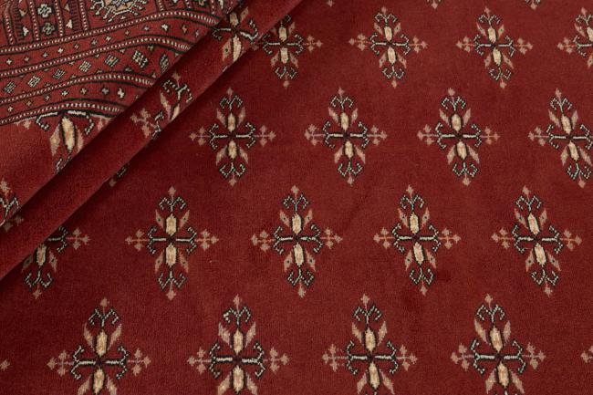Pakistański Buchara 3ply - 2