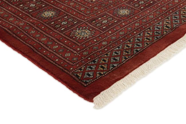 Pakistański Buchara 3ply - 3