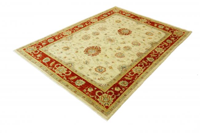 Arijana Ziegler Farahan - 2