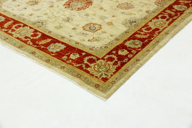 Arijana Ziegler Farahan - 3