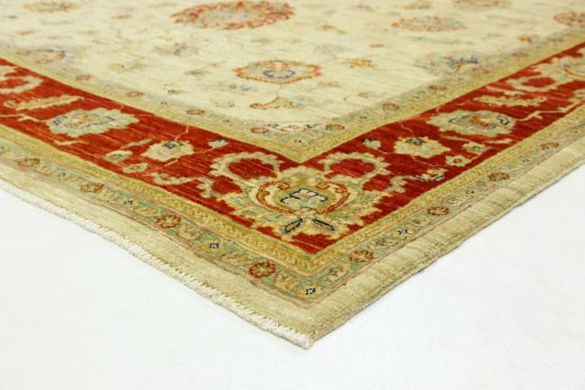 Arijana Ziegler Farahan - 4