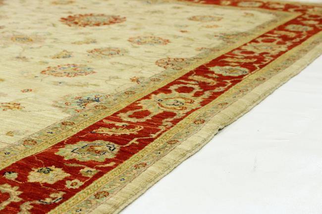 Arijana Ziegler Farahan - 5