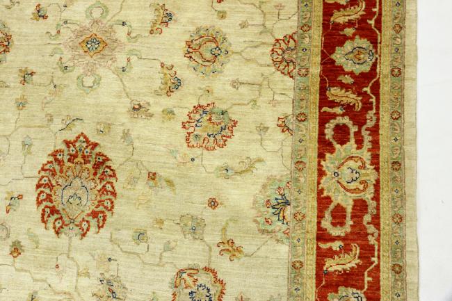 Arijana Ziegler Farahan - 6