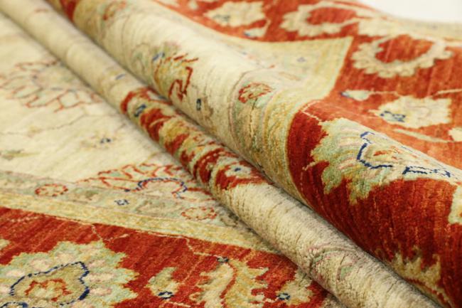 Arijana Ziegler Farahan - 7