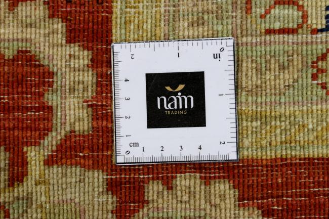 Arijana Ziegler Farahan - 8