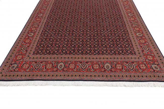 Tabriz Mahi - 3