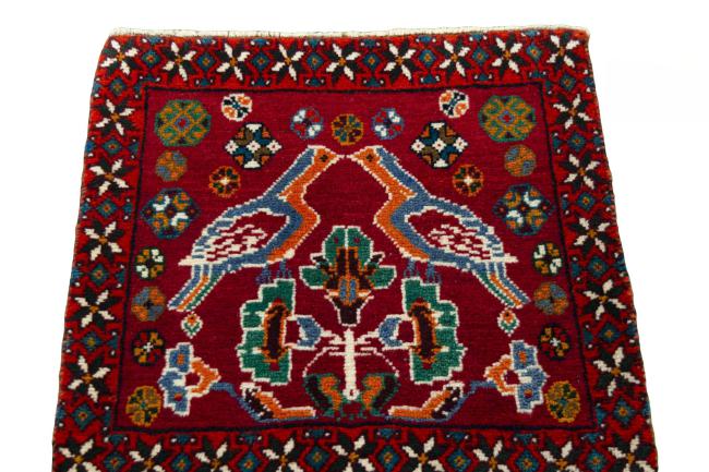 Shiraz - 3