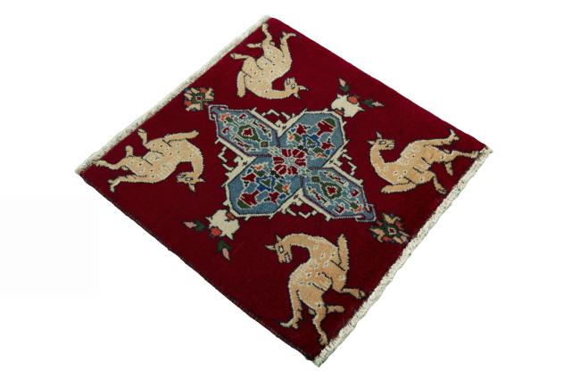 Shiraz - 2