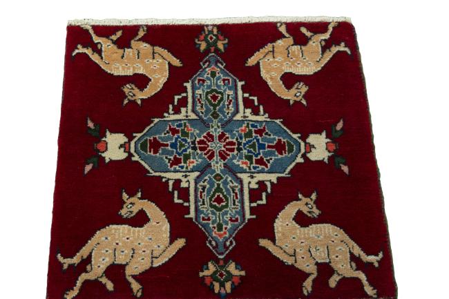 Shiraz - 3