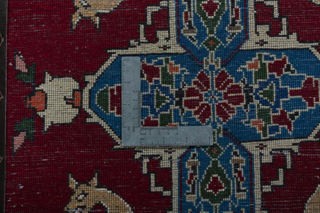 Shiraz - 4