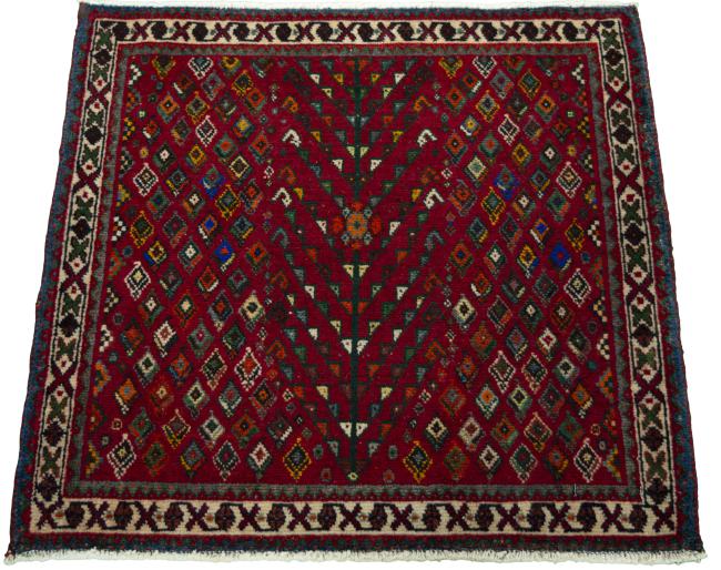 Shiraz - 3