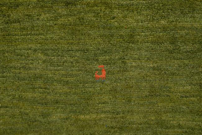 Persia Gabbeh Nomad - 6