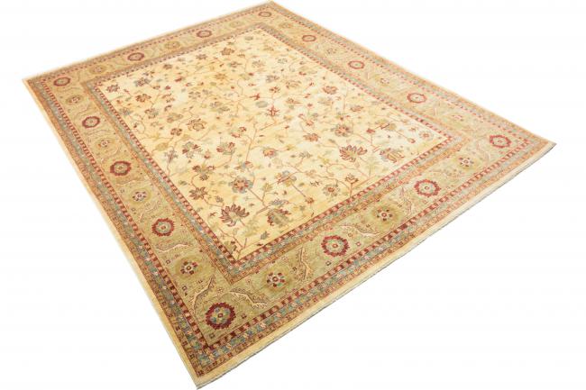 Ziegler Farahan - 3