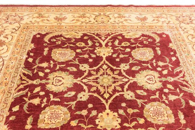 Ziegler Farahan - 5