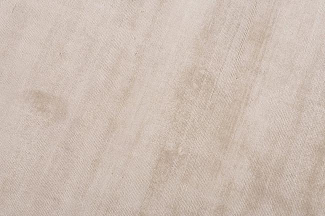 Distinct Shining Plain - 3