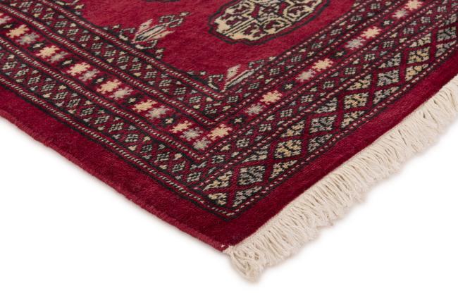 Pakistan Buchara 2ply - 3