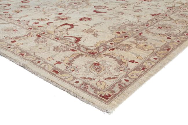 Ziegler Farahan - 6