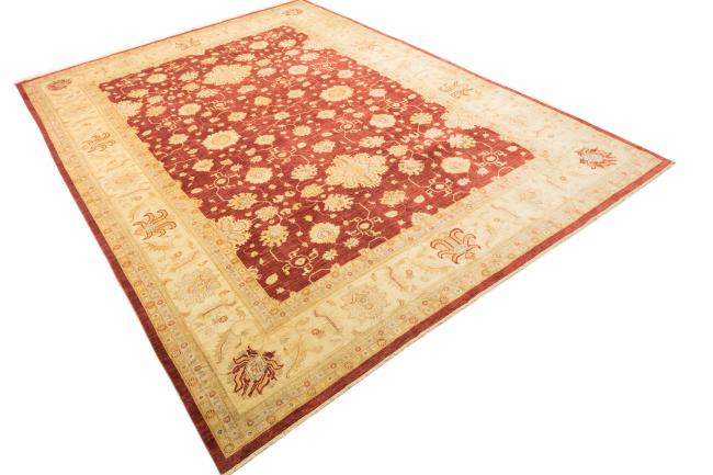 Ziegler Farahan - 2