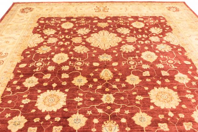 Ziegler Farahan - 3
