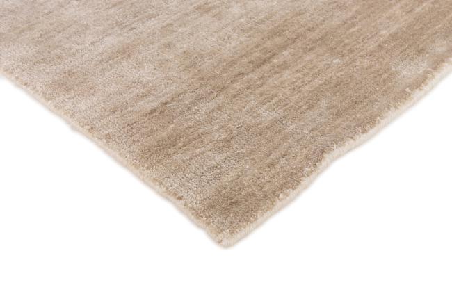 Distinct Shining Plain - 2