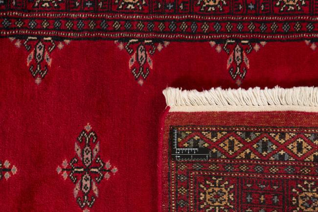 Pakistan Buchara 2ply - 1