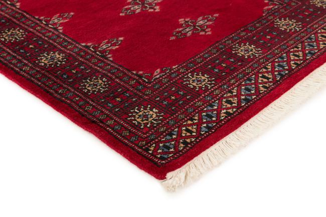 Pakistan Buchara 2ply - 3