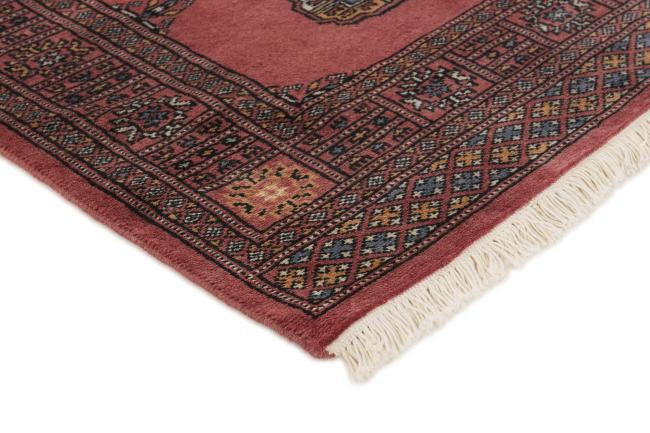 Pakistan Buchara 2ply - 3