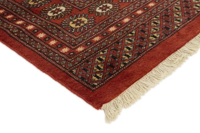 Pakistan Buchara 2ply - 3