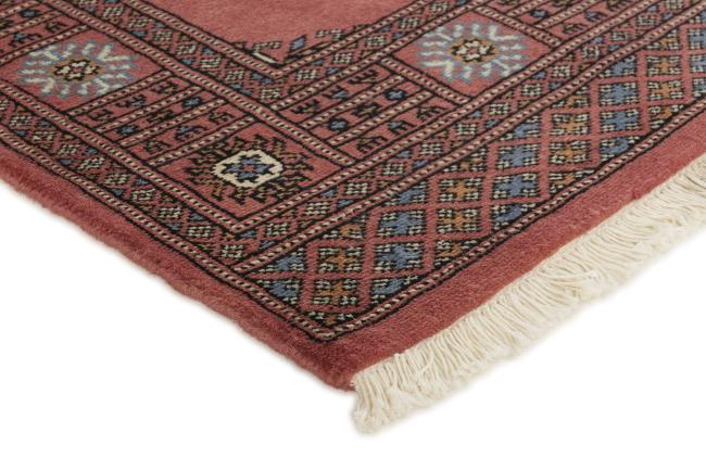 Pakistan Buchara 3ply - 3