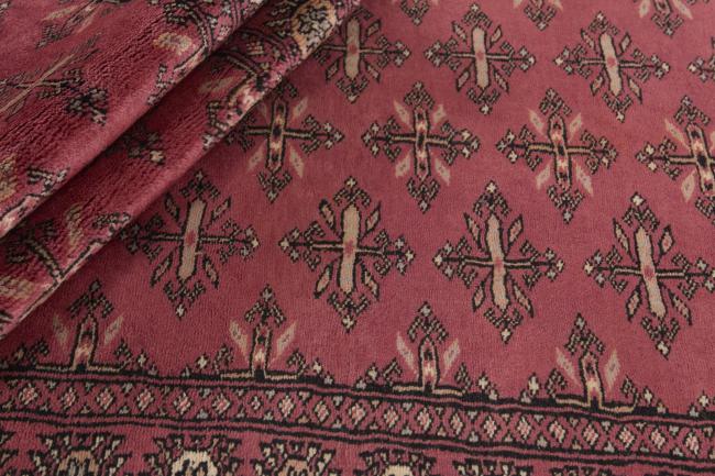 Pakistan Buchara 3ply - 2
