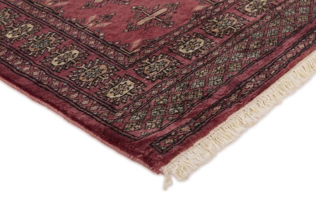 Pakistan Buchara 3ply - 3