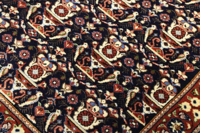 Persian Gabbeh Kashkuli - 4