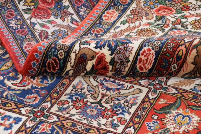 Bakhtiari Chaleshotor - 4
