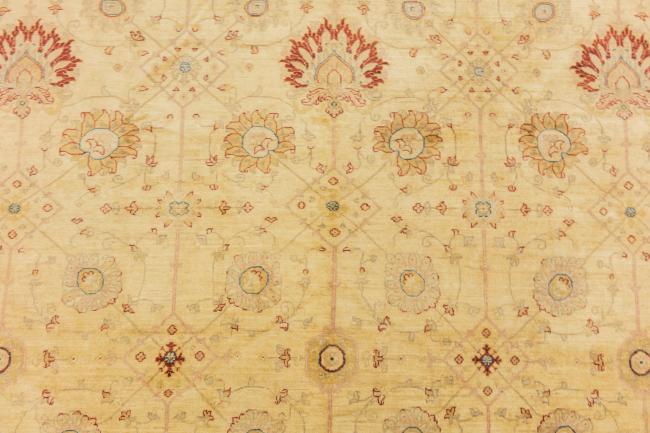 Ziegler Farahan - 7