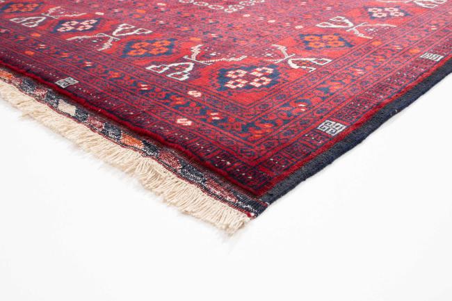 Afghan Mauri - 2