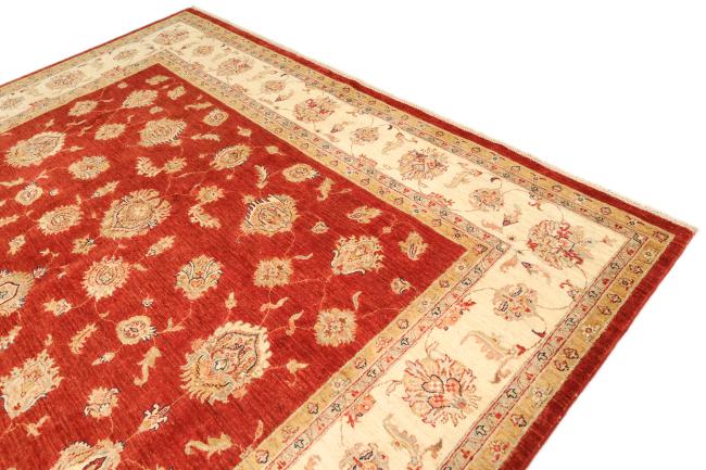 Ziegler Farahan - 3